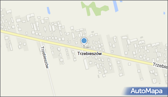 Związek Zawodowy Pracowników Samorządowych Gminy Trzebieszów 21-404 - Przedsiębiorstwo, Firma, numer telefonu