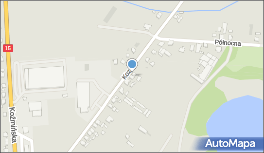 Życki Trans, Kozala 30, Krotoszyn 63-700 - Przedsiębiorstwo, Firma, numer telefonu, NIP: 6211225288