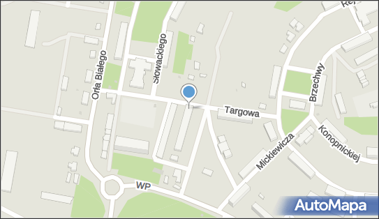 320382927, Borneńskie Centrum Inicjatyw Społecznych 