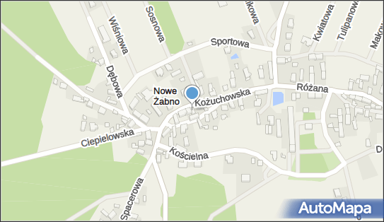 9251956462, Ludowy Zespół Sportowy 