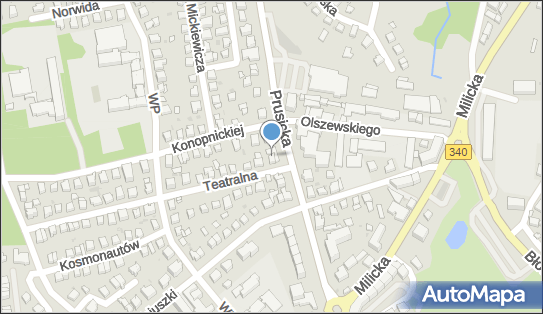 9151107060, Zakład Usługowo-Handlowy 