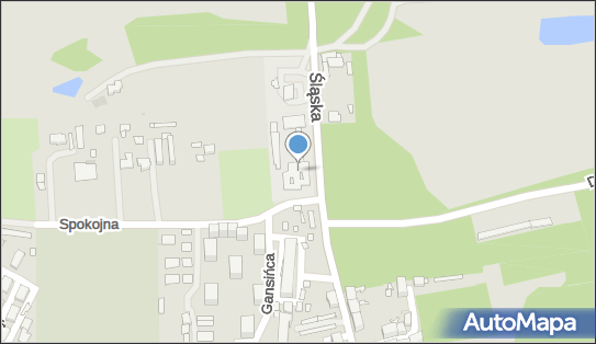 6431731987, Klub Sportowy 