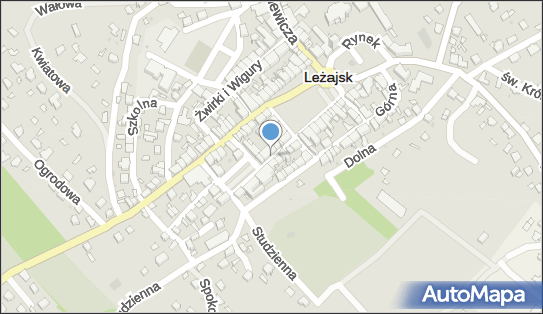 8161169300, Organizacja Zakładowa NSZZ 
