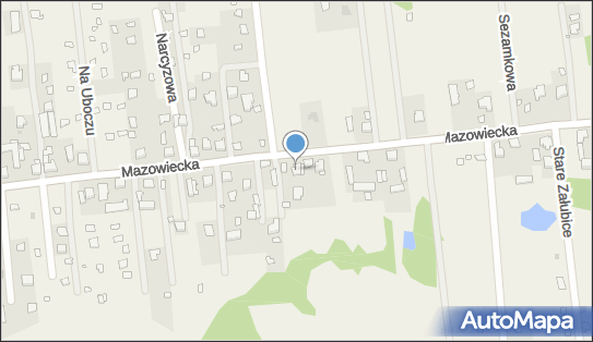 1250211299, Firma Usługowo-Handlowa 