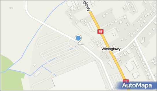 WIŚNIOWSKI, Wielogłowy 153, Wielogłowy 33-311 - Przemysł, numer telefonu