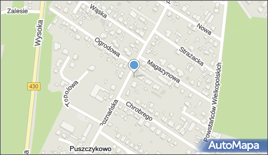 Społem, Poznańska 101, Puszczykowo 62-040