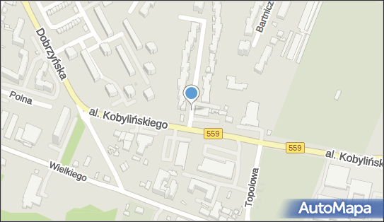 Społem, Aleja Floriana Kobylińskiego 32, Płock 09-400