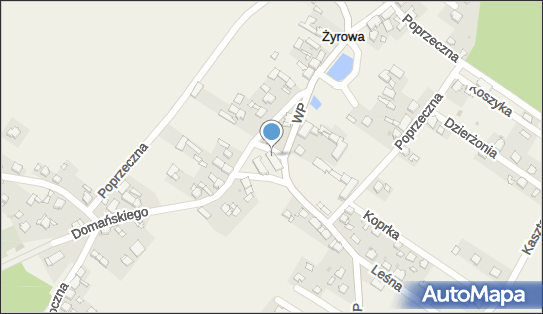 Bar, Wojska Polskiego 14a, Żyrowa 47-330 - Pub