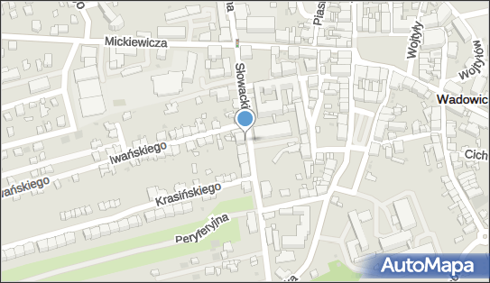 Citypab, Juliusza Słowackiego 16, Wadowice 34-100 - Pub