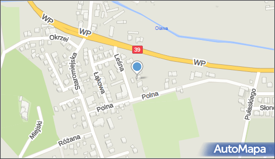 Pub Bachus, ul. Leśna 6, Strzelin - Pub, godziny otwarcia, numer telefonu