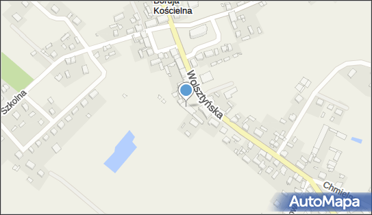 7741970586, Pub Ines Edyta Blekicka 