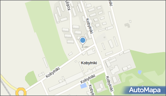 Pub oraz Bar, Kobylniki 35, Kobylniki 88-150 - Pub