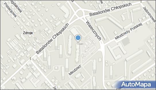 Aleksandra Izabela Podolak, ul. Młodzieży Polskiej 32B/11 70-774