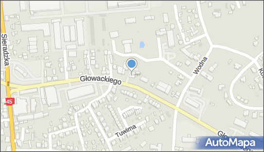 Afrodyta, Bartosza Głowackiego 22, Wieluń - Restauracja, godziny otwarcia, numer telefonu