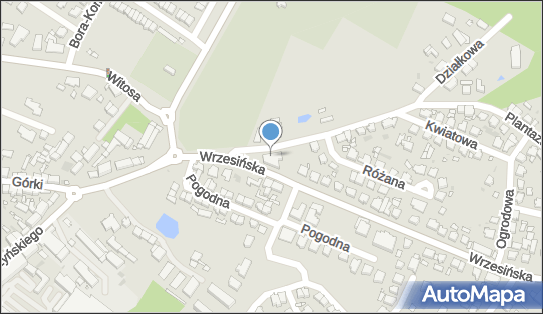 Al Capone, Plantaża 1, Środa Wielkopolska - Restauracja, numer telefonu