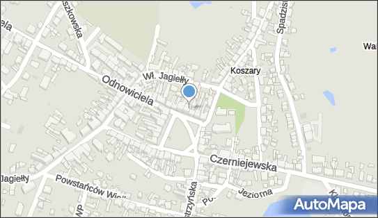 Bachus, Rynek 3, Pobiedziska 62-010 - Restauracja, godziny otwarcia, numer telefonu