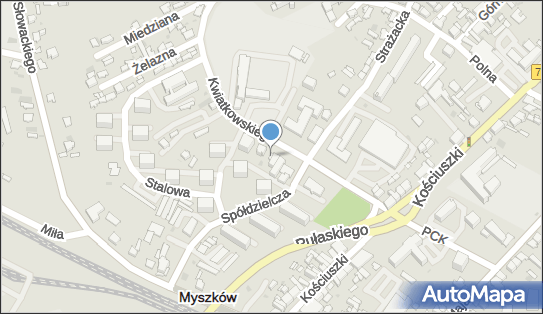 Fuerte, Kwiatkowskiego 3b, Myszków 42-300 - Restauracja, numer telefonu
