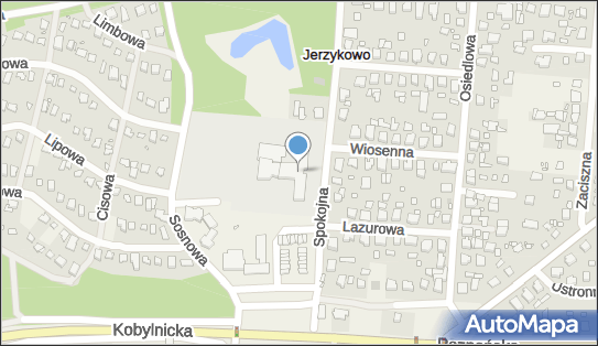 Mieszko, Spokojna 3, Jerzykowo - Restauracja, godziny otwarcia, numer telefonu