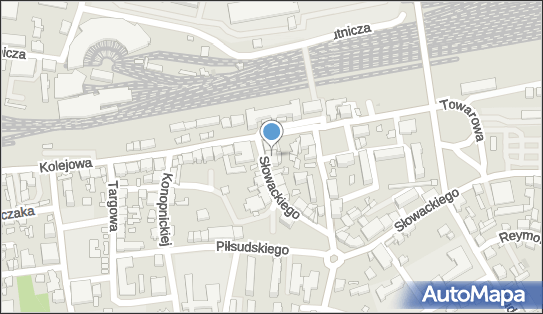 6520010746, Paczyński Jerzy, Jawoszek Henryk SPC, Restauracja, Dyskoteka, Bilard 