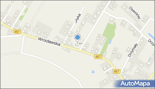 Plaza Reastaurant&ampBowlingv, Wrocławska 32, Dobrzeń Wielki 46-081 - Restauracja