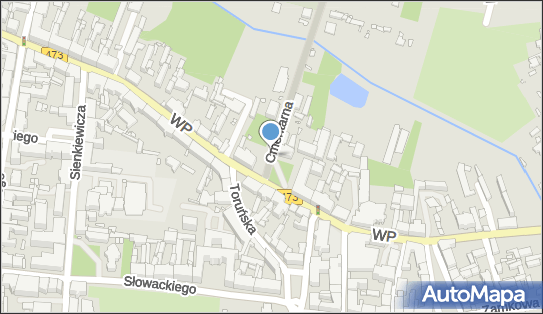 Pod Kasztanami, Wojska Polskiego 41, Piotrków Trybunalski - Restauracja