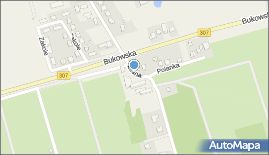 Przylesie, Bukowska 2a, Sierosław - Restauracja, godziny otwarcia, numer telefonu