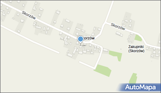Restauracja Panama, Skorzów 20, Skorzów - Restauracja, godziny otwarcia, numer telefonu