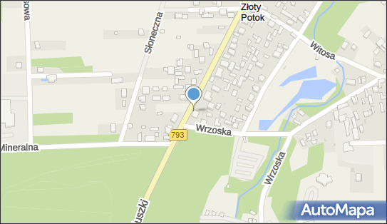 Restauracja Pizzeria Źródlana, Kościuszki 73, Złoty Potok 42-253 - Restauracja, godziny otwarcia, numer telefonu