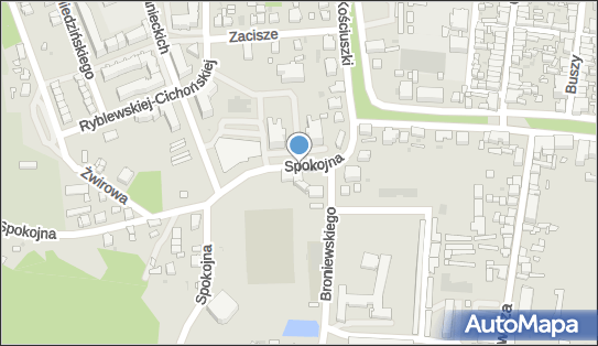 Sportowa, Spokojna 1a, Rawicz 63-900 - Restauracja, godziny otwarcia, numer telefonu