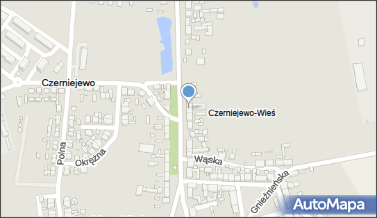 Wielkopolska, Pałacowa 16, Czerniejewo 62-250 - Restauracja, godziny otwarcia, numer telefonu