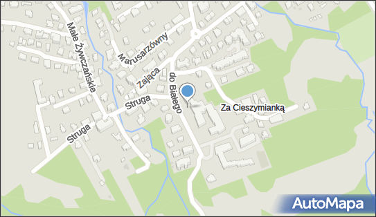 Wieniawa, Droga Do Białego 3, Zakopane 34-500 - Restauracja, numer telefonu