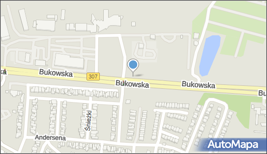 Wieniawski Restaurant & Bar, ul. Bukowska 285, Poznań - Restauracja, godziny otwarcia, numer telefonu