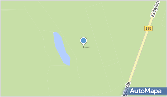 Rezerwat Mszar nad Jeziorem Mnich, Kobylarnia, Kobylarnia 64-410 - Rezerwat przyrody