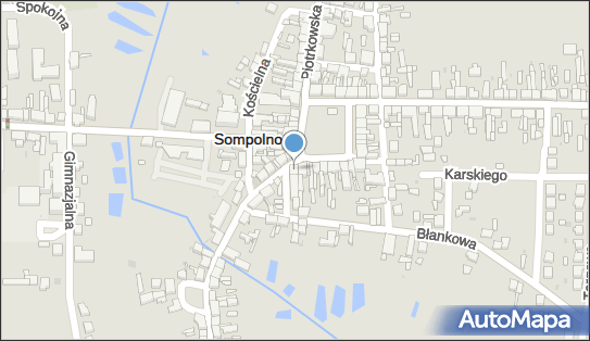 Sklep Rybno Spożywczy, pl. Wolności 20, Sompolno 62-610 - Rybny, Owoce morza - Sklep, NIP: 6661473721