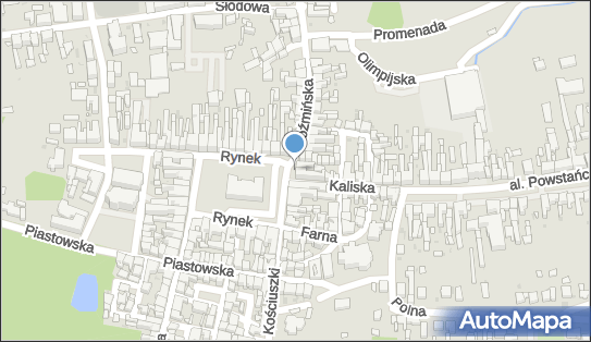 6211009610, Sklep Spożywczo-Monopolowy-Grzegorz Minta 