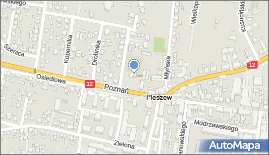 Kościół Rzymskokatolicki, Poznańska12 62, Pleszew 63-300 - Rzymskokatolicki - Kościół