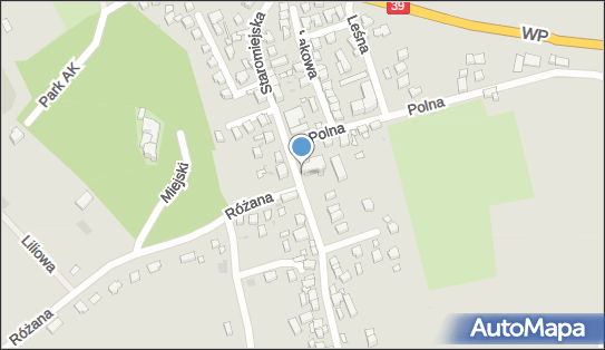 Matki Chrystusa i św. Jana Apostoła i Ewangelisty, Strzelin 57-100 - Rzymskokatolicki - Kościół, numer telefonu