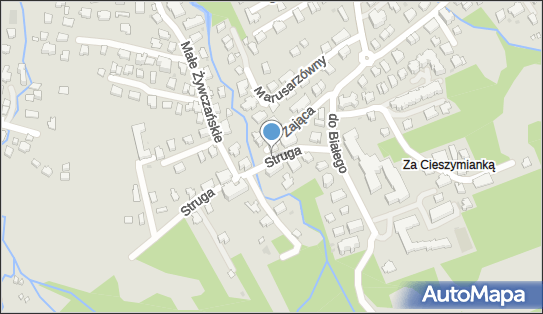 MB Nieustającej Pomocy i św. Franciszka z Asyżu, Zakopane 34-500 - Rzymskokatolicki - Kościół, numer telefonu