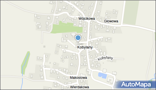 Narodzenia Najświętszej Maryi Panny, Kobylany 58, Kobylany 38-462 - Rzymskokatolicki - Kościół, numer telefonu