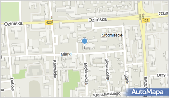Św. Apostołów Piotra i Pawła, Plac Adama Mickiewicza 1, Opole 45-369 - Rzymskokatolicki - Kościół, numer telefonu