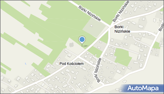 Wniebowzięcia Najświętszej Maryi Panny, Borki Nizińskie 83 39-307 - Rzymskokatolicki - Kościół, numer telefonu