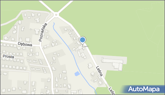 Spectre Cars, Leśna 12a, Borówiec 62-023 - Samochody - Salon, Serwis, numer telefonu