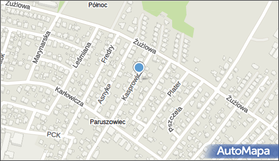 PANEK S.A., Jana Kasprowicza 42, Rybnik - Samochody - Wypożyczalnia, godziny otwarcia, numer telefonu
