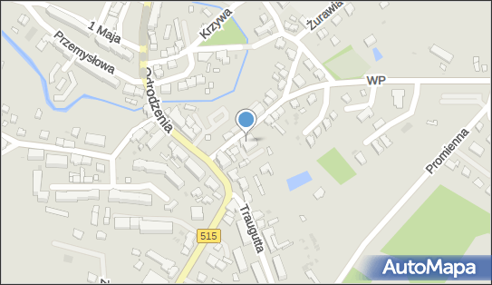 Spółdzielcza Grupa Bankowa, Wojska Polskiego 4, Dzierzgoń 82-440, godziny otwarcia