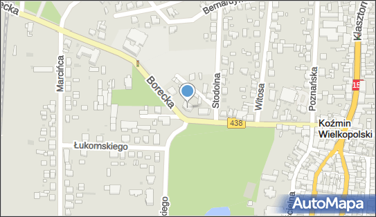 Spółdzielcza Grupa Bankowa, Borecka 22, Koźmin Wlkp. 63-720, godziny otwarcia