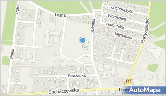 Na wolnym powietrzu, Szkolna, Leszno 05-084 - Siłownia
