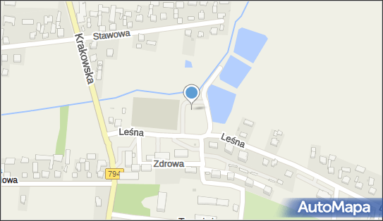 Skate park, Leśna, Trzyciąż 32-353 - Skate park