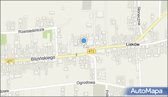 Michalak, Ks. Blizińskiego 44, Lisków 62-850 - Sklep, numer telefonu