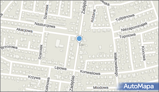 Skrzynka pocztowa, Zadębie 25, Skierniewice - Skrzynka pocztowa