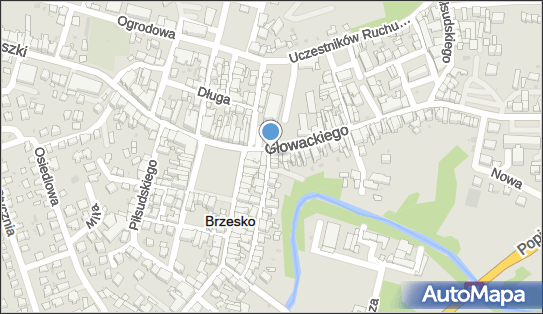 Skrzynka pocztowa, Joselewicza Berka, płk. 2a, Brzesko 32-800 - Skrzynka pocztowa